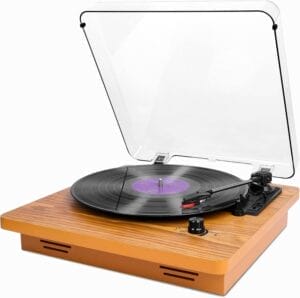 audiophile manual record player